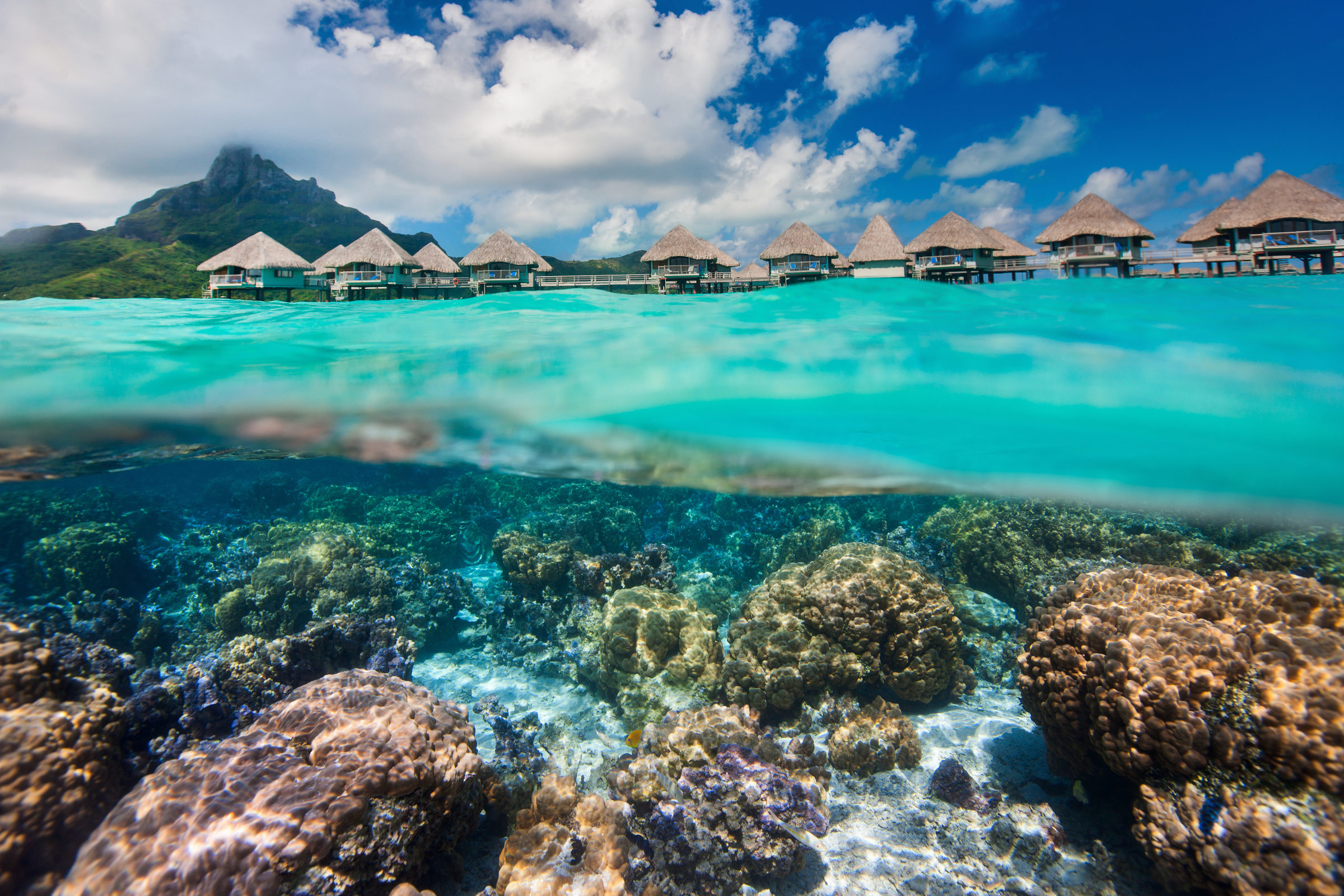 1 mangareva island.webp